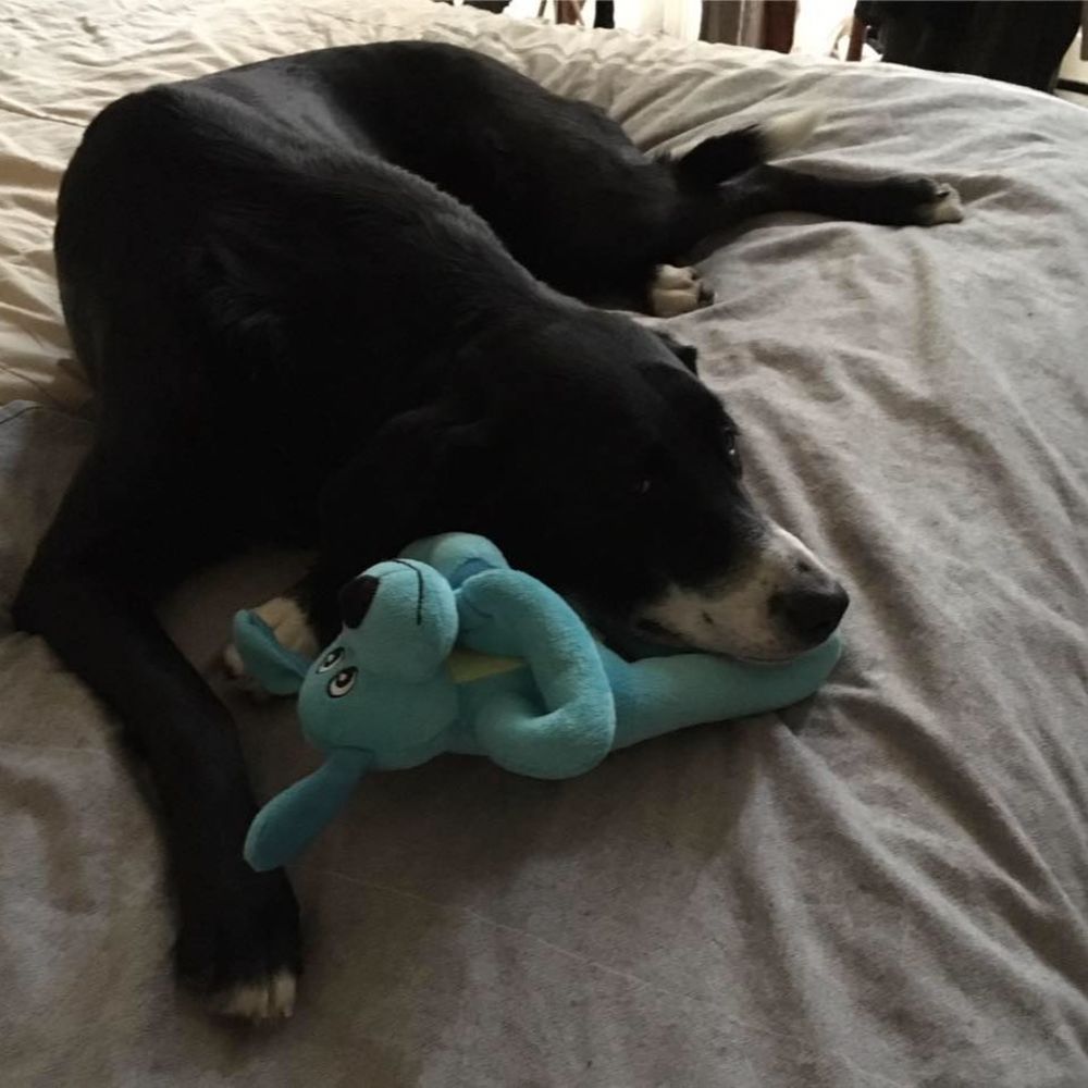 Meet your Posher, Allsun